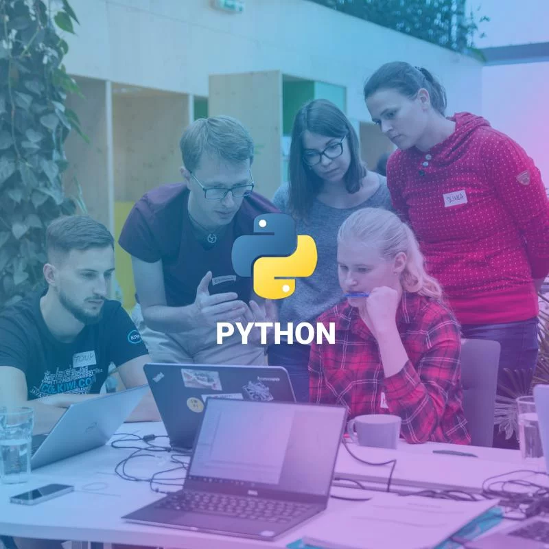 Skupina lidí studujících programovací jazyk Python od ENGETO